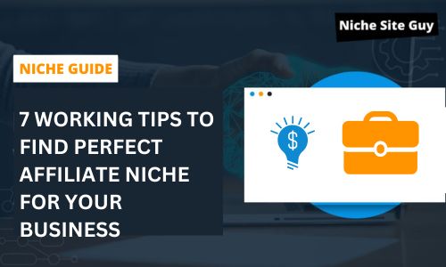 7 Working Tips to Find Perfect Affiliate Niche for Your Business